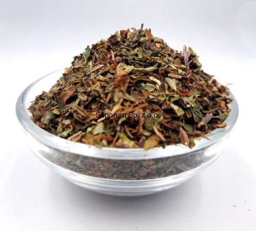 bazylia_Saporum1_600.jpg