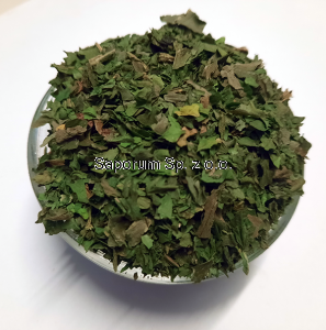 Czosnek niedźwiedzi 150g Polska