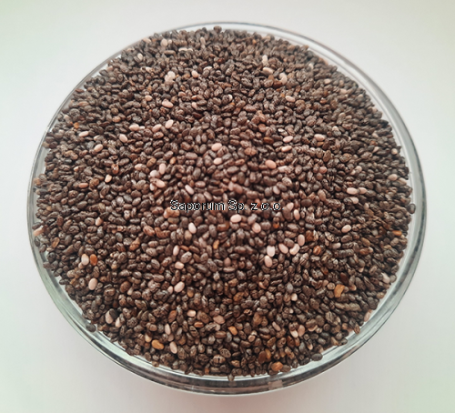 chia_1000g_1kg_nasiona_od_Saporum.png