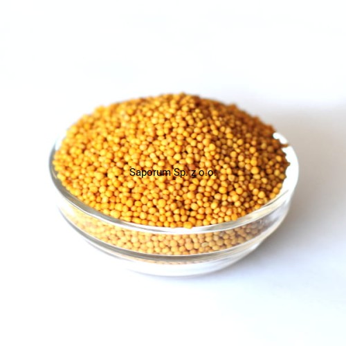 Gorczyca_zolta1a.jpg