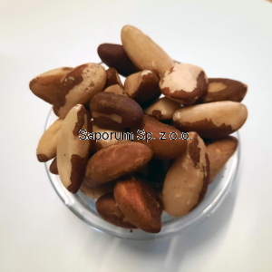 Orzechy brazylijskie 500g (0,5kg) - Brazylia