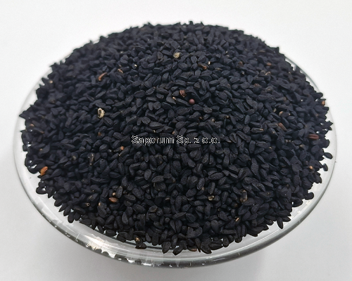czarnuszka_Saporum_02.png