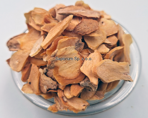 czosnek_platek_Saporum_01.png