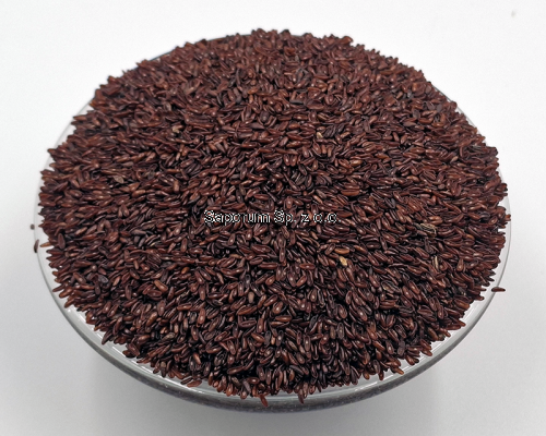 babka_plesznik_Saporum_01.png