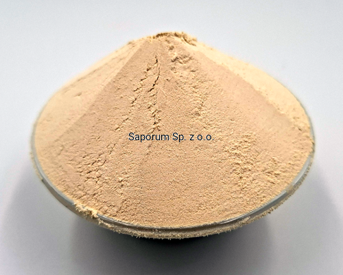 cebula_mielona_Saporum_02.png