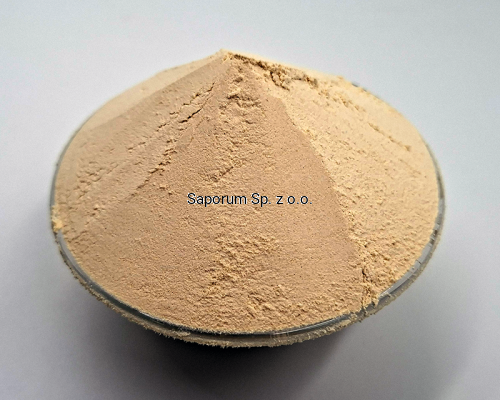cebula_mielona_Saporum_04.png