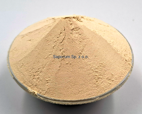 cebula_mielona_Saporum_05.png