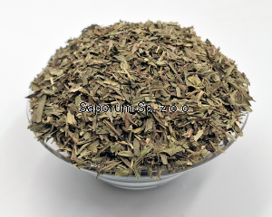 Estragon 50g - Polska
