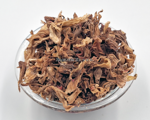 hibiskus_kwiat_bialy_Saporum_03.png