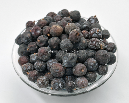 jalowiec_Saporum_03.png