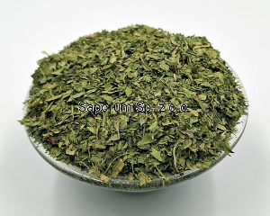 Kolendra liść 40g - Polska