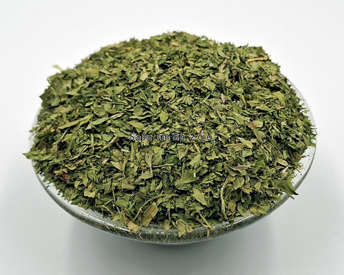 kolendra_lisc_Saporum_02.png
