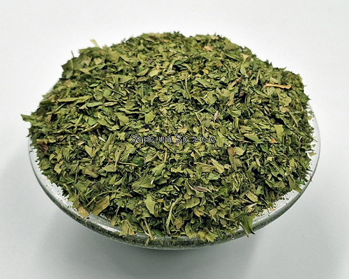 kolendra_lisc_Saporum_04.png