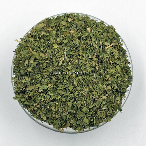 kolendra_lisc_Saporum_08.png