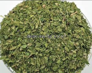 Kolendra liść 500g (0,5 kg) - Polska