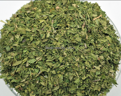 kolendra_lisc_Saporum_06.png
