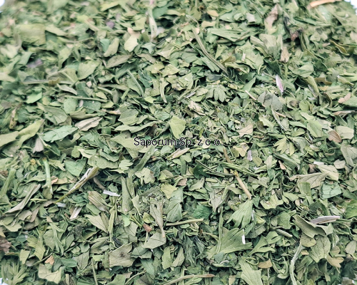 kolendra_lisc_Saporum_07.png
