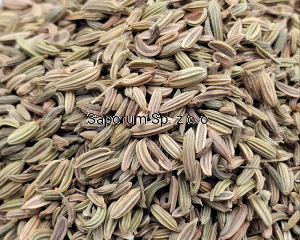 Koper włoski nasiona 1000g (1kg) - Egipt