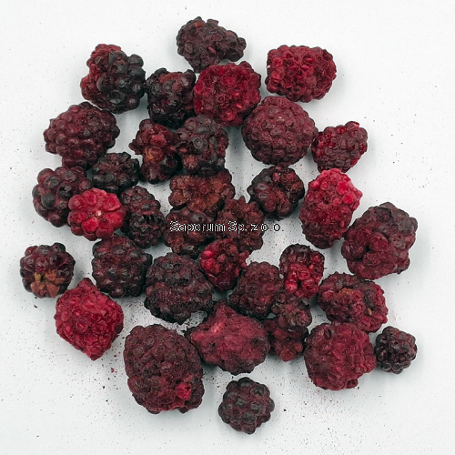 liofilizowane_jezyny_Saporum_03.png