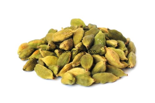 Kardamon_zielony1a.jpg